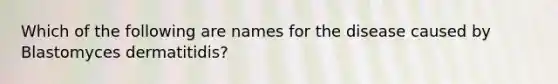 Which of the following are names for the disease caused by Blastomyces dermatitidis?