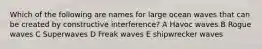 Which of the following are names for large ocean waves that can be created by constructive interference? A Havoc waves B Rogue waves C Superwaves D Freak waves E shipwrecker waves