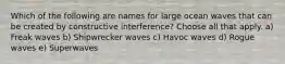 Which of the following are names for large ocean waves that can be created by constructive interference? Choose all that apply. a) Freak waves b) Shipwrecker waves c) Havoc waves d) Rogue waves e) Superwaves