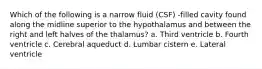 Which of the following is a narrow fluid (CSF) -filled cavity found along the midline superior to the hypothalamus and between the right and left halves of the thalamus? a. Third ventricle b. Fourth ventricle c. Cerebral aqueduct d. Lumbar cistern e. Lateral ventricle