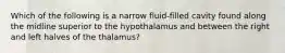 Which of the following is a narrow fluid-filled cavity found along the midline superior to the hypothalamus and between the right and left halves of the thalamus?