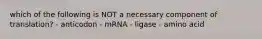 which of the following is NOT a necessary component of translation? - anticodon - mRNA - ligase - amino acid