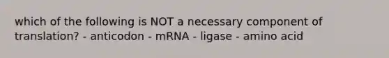 which of the following is NOT a necessary component of translation? - anticodon - mRNA - ligase - amino acid