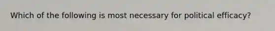 Which of the following is most necessary for political efficacy?