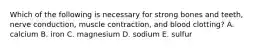 Which of the following is necessary for strong bones and teeth, nerve conduction, muscle contraction, and blood clotting? A. calcium B. iron C. magnesium D. sodium E. sulfur