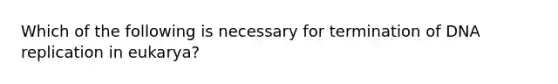 Which of the following is necessary for termination of DNA replication in eukarya?