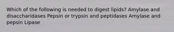 Which of the following is needed to digest lipids? Amylase and disaccharidases Pepsin or trypsin and peptidases Amylase and pepsin Lipase