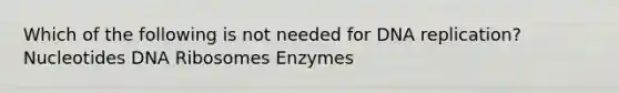 Which of the following is not needed for DNA replication? Nucleotides DNA Ribosomes Enzymes