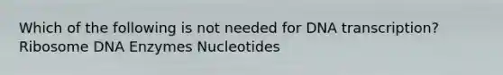 Which of the following is not needed for DNA transcription? Ribosome DNA Enzymes Nucleotides