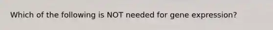 Which of the following is NOT needed for gene expression?