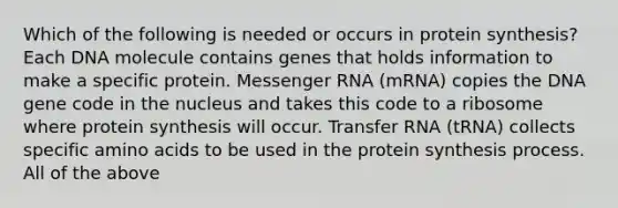 Which of the following is needed or occurs in protein synthesis? Each DNA molecule contains genes that holds information to make a specific protein. Messenger RNA (mRNA) copies the DNA gene code in the nucleus and takes this code to a ribosome where protein synthesis will occur. Transfer RNA (tRNA) collects specific amino acids to be used in the protein synthesis process. All of the above