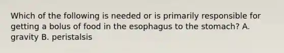 Which of the following is needed or is primarily responsible for getting a bolus of food in the esophagus to the stomach? A. gravity B. peristalsis