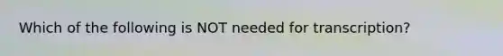 Which of the following is NOT needed for transcription?