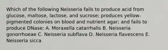 Which of the following Neisseria fails to produce acid from glucose, maltose, lactose, and sucrose; produces yellow-pigmented colonies on blood and nutrient agar; and fails to produce DNase: A. Moraxella catarrhalis B. Neisseria gonorrhoeae C. Neisseria subflava D. Neisseria flavescens E. Neisseria sicca