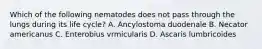 Which of the following nematodes does not pass through the lungs during its life cycle? A. Ancylostoma duodenale B. Necator americanus C. Enterobius vrmicularis D. Ascaris lumbricoides