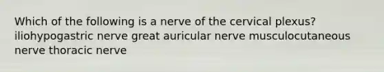 Which of the following is a nerve of the cervical plexus? iliohypogastric nerve great auricular nerve musculocutaneous nerve thoracic nerve