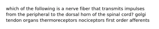 which of the following is a nerve fiber that transmits impulses from the peripheral to the dorsal horn of the spinal cord? golgi tendon organs thermoreceptors nociceptors first order afferents