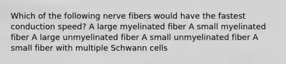 Which of the following nerve fibers would have the fastest conduction speed? A large myelinated fiber A small myelinated fiber A large unmyelinated fiber A small unmyelinated fiber A small fiber with multiple Schwann cells