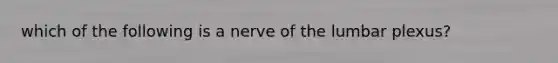 which of the following is a nerve of the lumbar plexus?