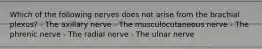 Which of the following nerves does not arise from the brachial plexus? - The axillary nerve - The musculocutaneous nerve - The phrenic nerve - The radial nerve - The ulnar nerve