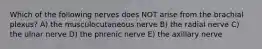 Which of the following nerves does NOT arise from the brachial plexus? A) the musculocutaneous nerve B) the radial nerve C) the ulnar nerve D) the phrenic nerve E) the axillary nerve