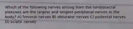 Which of the following nerves arising from the lumbosacral plexuses are the largest and longest peripheral nerves in the body? A) femoral nerves B) obturator nerves C) pudental nerves D) sciatic nerves