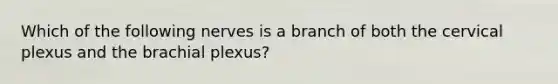 Which of the following nerves is a branch of both the cervical plexus and the brachial plexus?