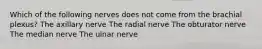 Which of the following nerves does not come from the brachial plexus? The axillary nerve The radial nerve The obturator nerve The median nerve The ulnar nerve