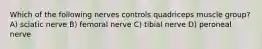 Which of the following nerves controls quadriceps muscle group? A) sciatic nerve B) femoral nerve C) tibial nerve D) peroneal nerve