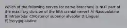 Which of the following nerves (or nerve branches) is NOT part of the maxillary division of the fifth cranial nerve? A) Nasopalatine B)Infraorbital C)Posterior superior alveolar D)Lingual E)Pterygopalatine