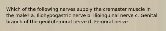 Which of the following nerves supply the cremaster muscle in the male? a. Iliohypogastric nerve b. Ilioinguinal nerve c. Genital branch of the genitofemoral nerve d. Femoral nerve