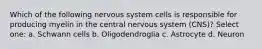 Which of the following nervous system cells is responsible for producing myelin in the central nervous system (CNS)? Select one: a. Schwann cells b. Oligodendroglia c. Astrocyte d. Neuron