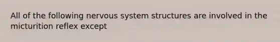 All of the following nervous system structures are involved in the micturition reflex except