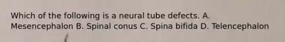 Which of the following is a neural tube defects. A. Mesencephalon B. Spinal conus C. Spina bifida D. Telencephalon