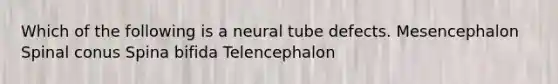 Which of the following is a neural tube defects. Mesencephalon Spinal conus Spina bifida Telencephalon