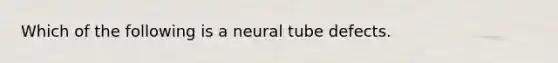 Which of the following is a neural tube defects.