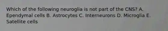 Which of the following neuroglia is not part of the CNS? A. Ependymal cells B. Astrocytes C. Interneurons D. Microglia E. Satellite cells