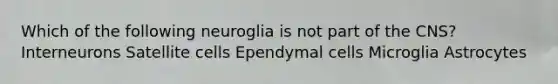 Which of the following neuroglia is not part of the CNS? Interneurons Satellite cells Ependymal cells Microglia Astrocytes