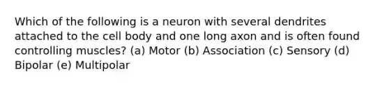 Which of the following is a neuron with several dendrites attached to the cell body and one long axon and is often found controlling muscles? (a) Motor (b) Association (c) Sensory (d) Bipolar (e) Multipolar