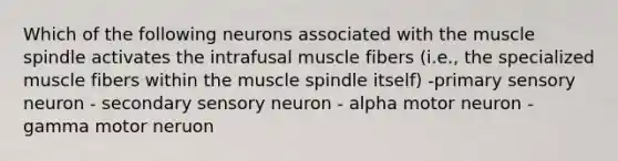 Which of the following neurons associated with the muscle spindle activates the intrafusal muscle fibers (i.e., the specialized muscle fibers within the muscle spindle itself) -primary sensory neuron - secondary sensory neuron - alpha motor neuron -gamma motor neruon