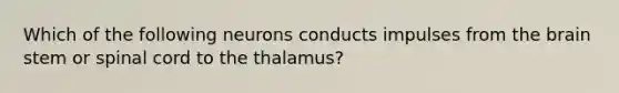 Which of the following neurons conducts impulses from the brain stem or spinal cord to the thalamus?