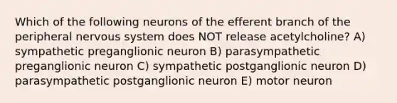 Which of the following neurons of the efferent branch of the peripheral nervous system does NOT release acetylcholine? A) sympathetic preganglionic neuron B) parasympathetic preganglionic neuron C) sympathetic postganglionic neuron D) parasympathetic postganglionic neuron E) motor neuron