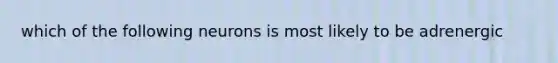 which of the following neurons is most likely to be adrenergic