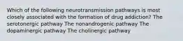 Which of the following neurotransmission pathways is most closely associated with the formation of drug addiction? The serotonergic pathway The nonandrogenic pathway The dopaminergic pathway The cholinergic pathway