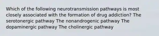 Which of the following neurotransmission pathways is most closely associated with the formation of drug addiction? The serotonergic pathway The nonandrogenic pathway The dopaminergic pathway The cholinergic pathway