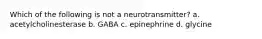 Which of the following is not a neurotransmitter? a. acetylcholinesterase b. GABA c. epinephrine d. glycine