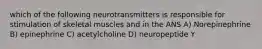 which of the following neurotransmitters is responsible for stimulation of skeletal muscles and in the ANS A) Norepinephrine B) epinephrine C) acetylcholine D) neuropeptide Y