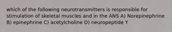 which of the following neurotransmitters is responsible for stimulation of skeletal muscles and in the ANS A) Norepinephrine B) epinephrine C) acetylcholine D) neuropeptide Y