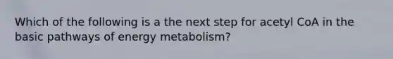 Which of the following is a the next step for acetyl CoA in the basic pathways of energy metabolism?