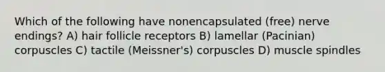 Which of the following have nonencapsulated (free) nerve endings? A) hair follicle receptors B) lamellar (Pacinian) corpuscles C) tactile (Meissner's) corpuscles D) muscle spindles